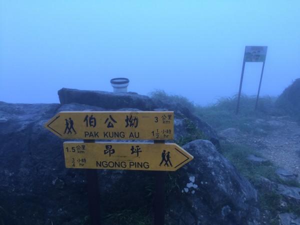英雄悟空