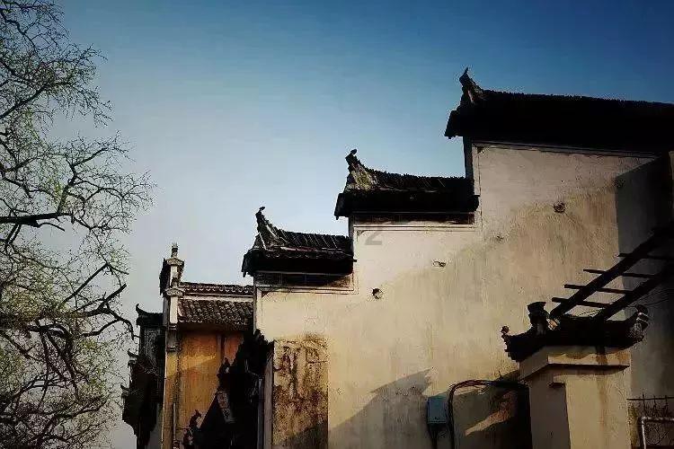沃克谈出轨:我做出了愚蠢的选择,很抱歉伤害了我爱的人